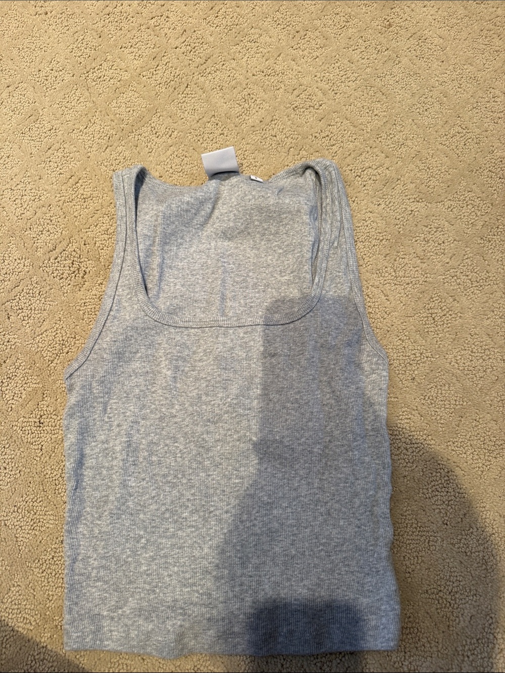 Aritzia Tank